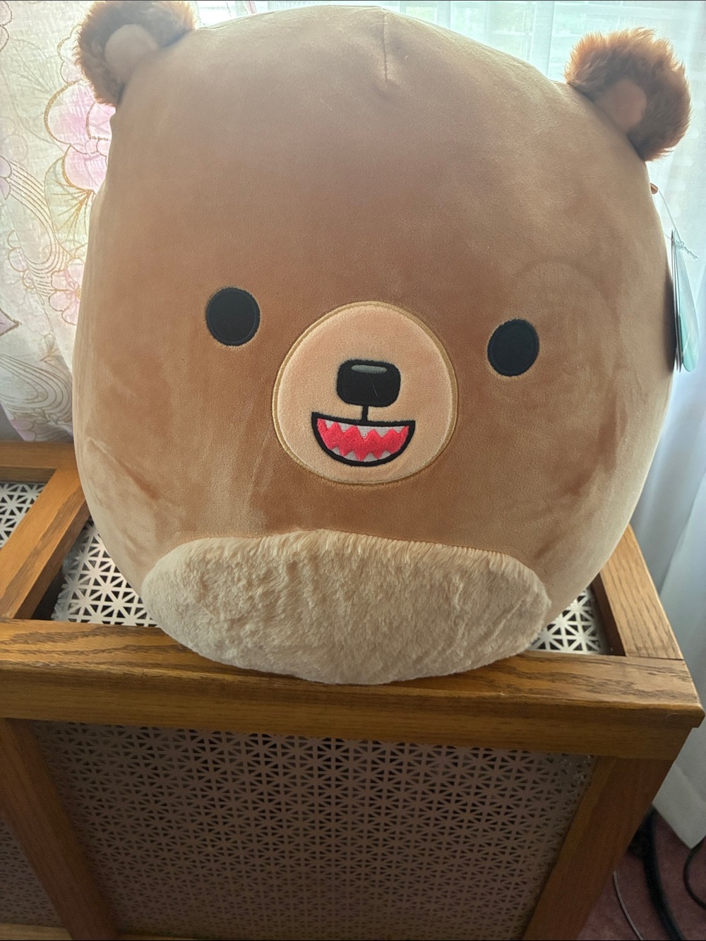 Squishmallows Plush in  brown